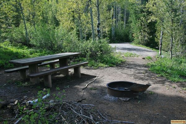 Upper Maloney Campsite