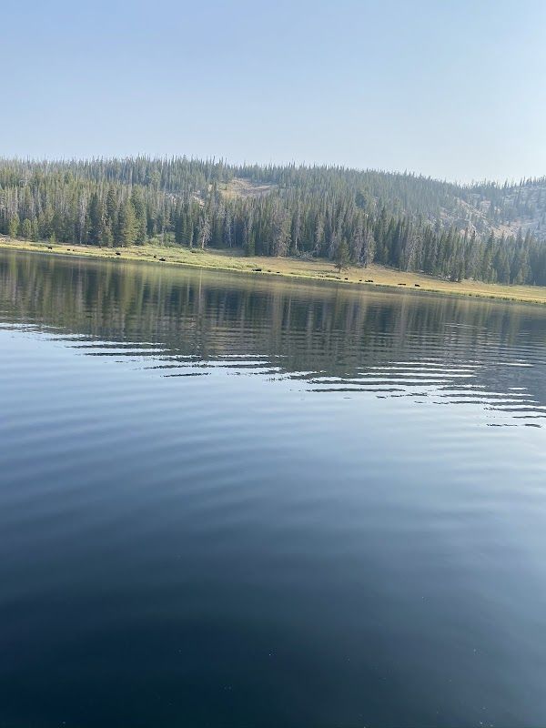 Bayhorse Campground
