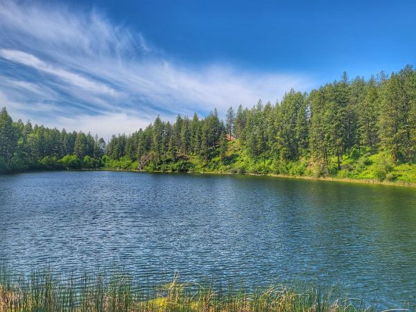 Dick's Lake Camp