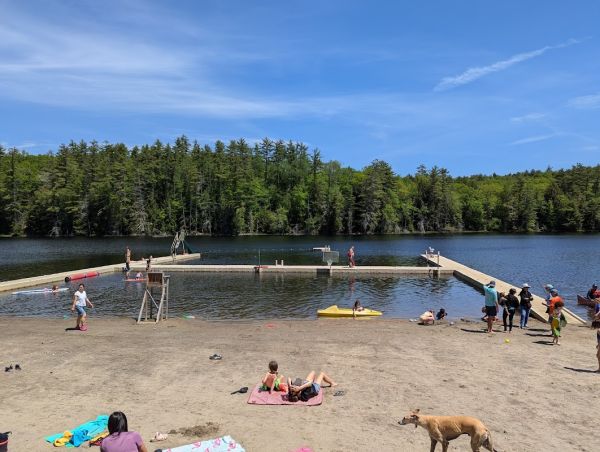 Forest Lake Camp