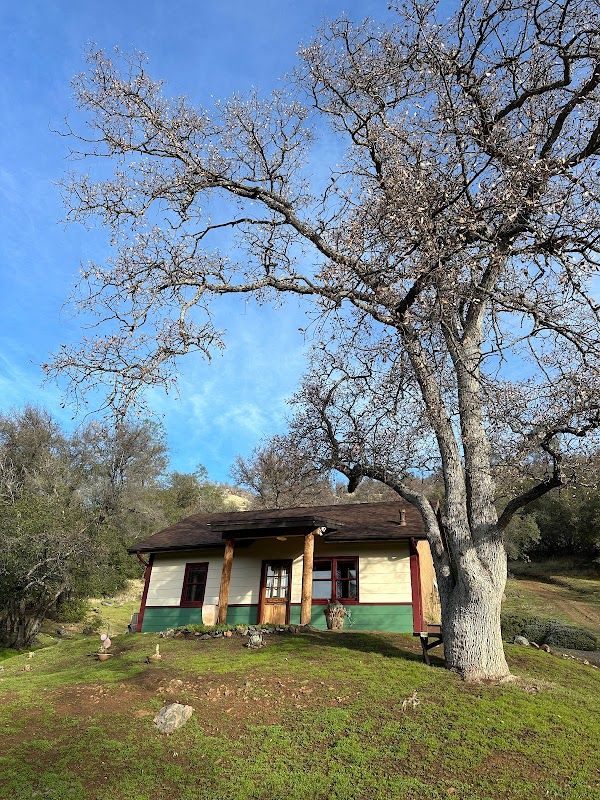 Homestead #6