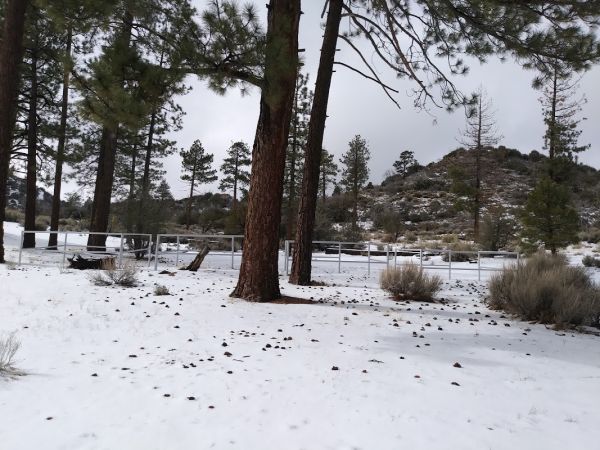 Big Pine Flat Equestrian Group Campground
