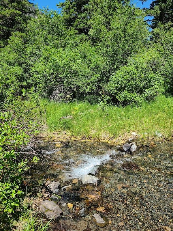 Aspen Campground