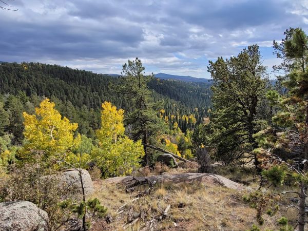 Mueller State Park