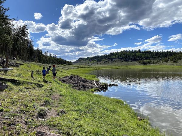 Brwone Lake Group Site 13