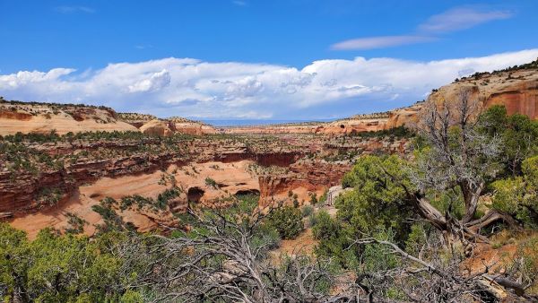 Mee Canyon