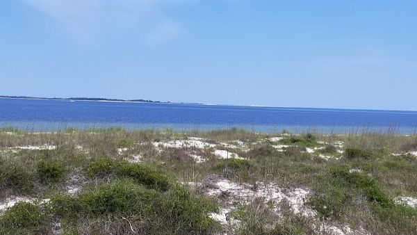 Dog Island