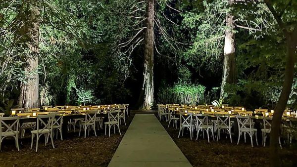 The Cedars