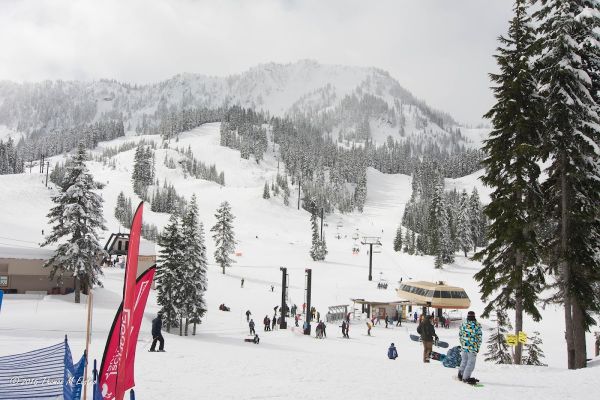 Snow Field
