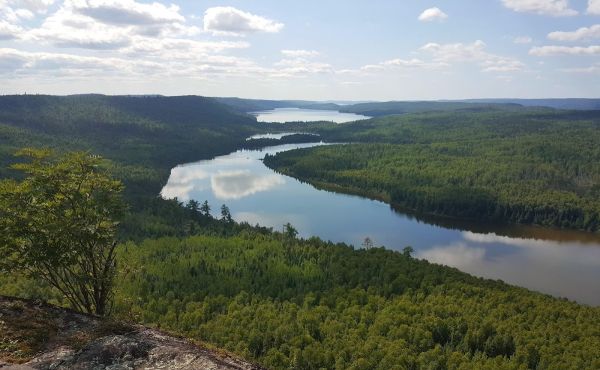 Rose Lake #2
