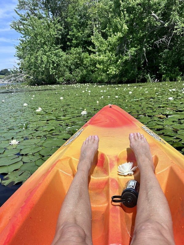 Plum Canoe 1