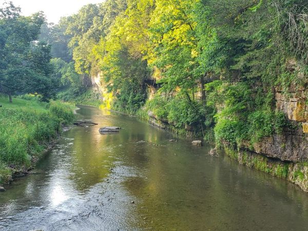 Walk In Campsites 5 to 8