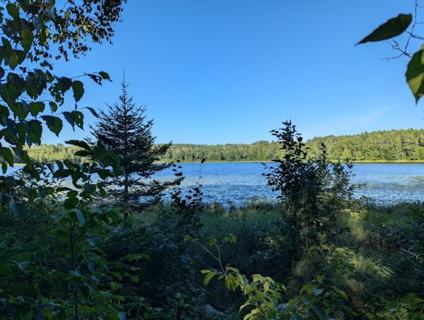 Webster Lake
