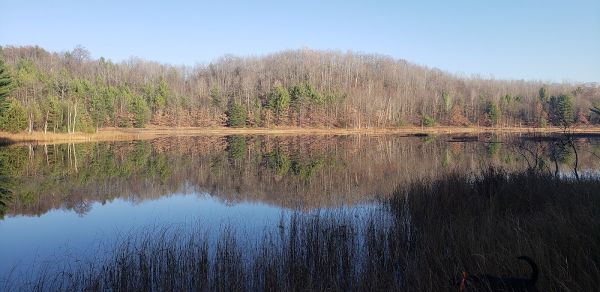 Long Lake Campground 600s