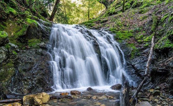 Uvas Canyon County Park Campground