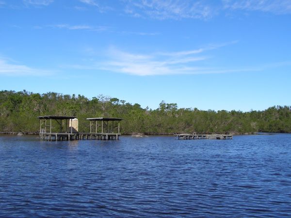 Harney River Chickadee Campsite