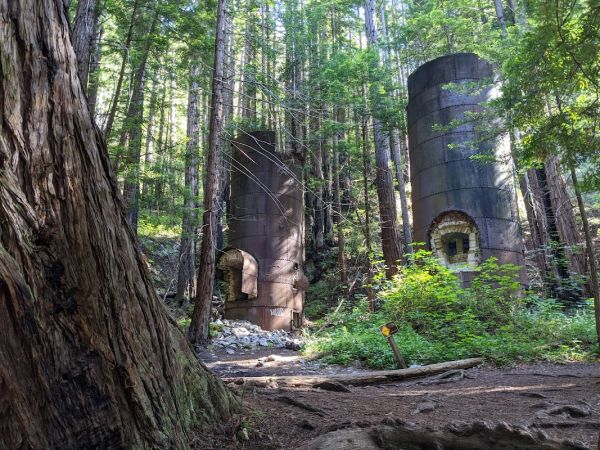 Limekiln State Park Campground