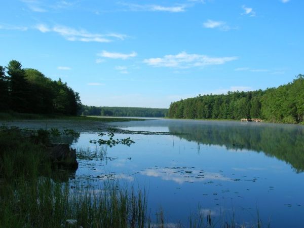 Black Moshannon State Park Campground