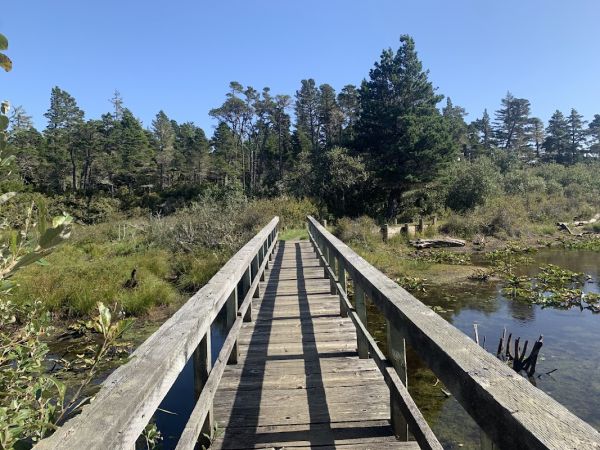 Bluebill Campground
