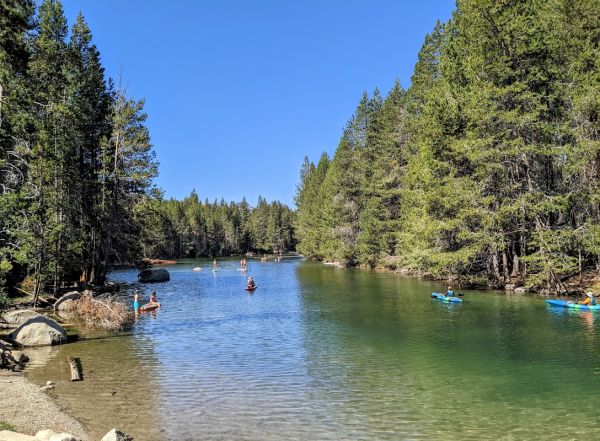 Donner Memorial State Park Creek Campground