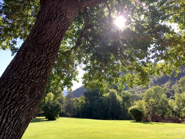 Jolley's Ranch