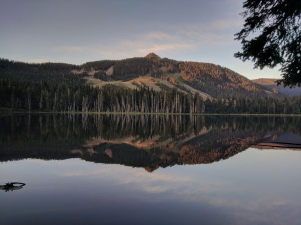 White Pass Camp
