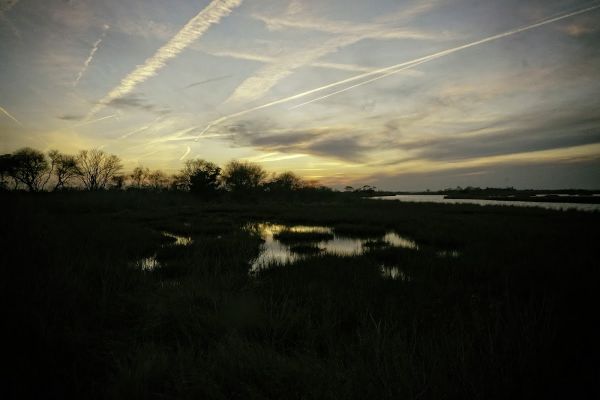 Pope Bay