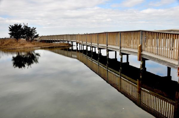 Assateague State Park Campground