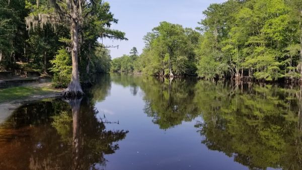 Princess Ann Campground