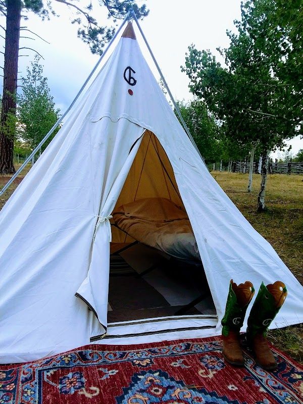 Transfer Horse Camp