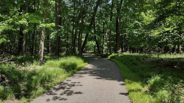 Glendalough State Park Cart-in Campground