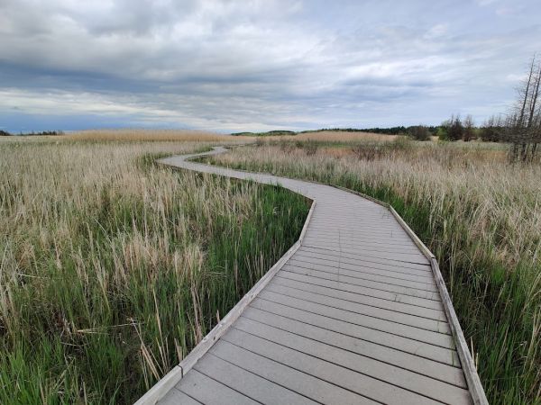 Presqu'ile Park - Riverside Campground