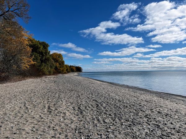 Darlington Park - Cliffside Campground