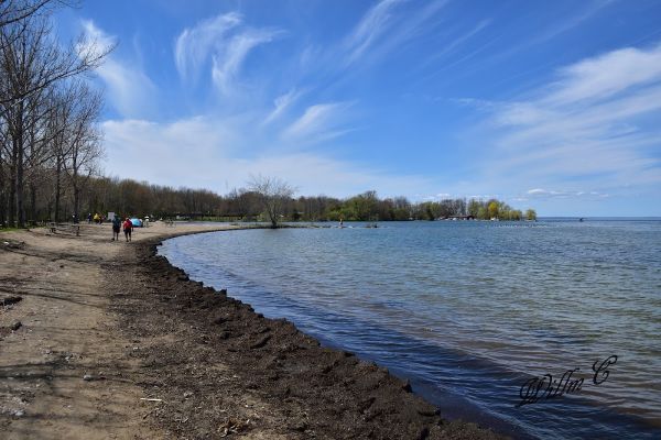 Sibbald Point - Beavermeade Campground