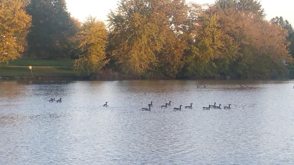 Pine Lakes Resort