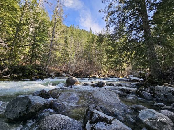 Ingalls Creek Camp