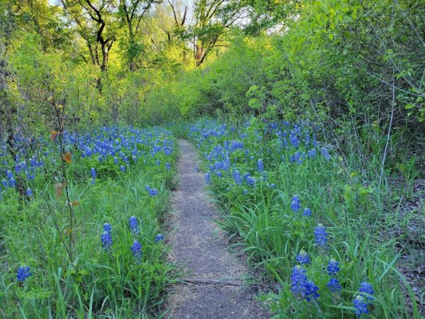 Site: 028, Loop: Rocky Creek Park