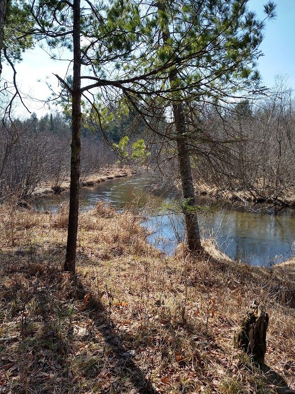 Hopkins Creek State Forest Campground