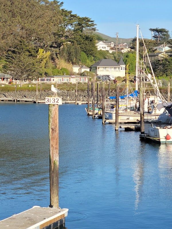 Porto Bodega Marina