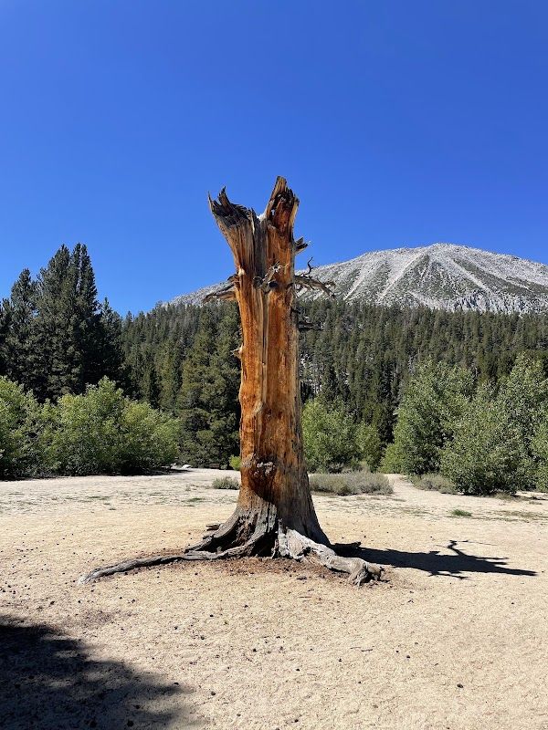 Rocky Creek Camp