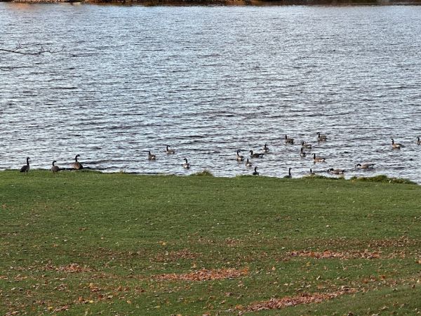 Bates Township Park/Sunset Lake Campground