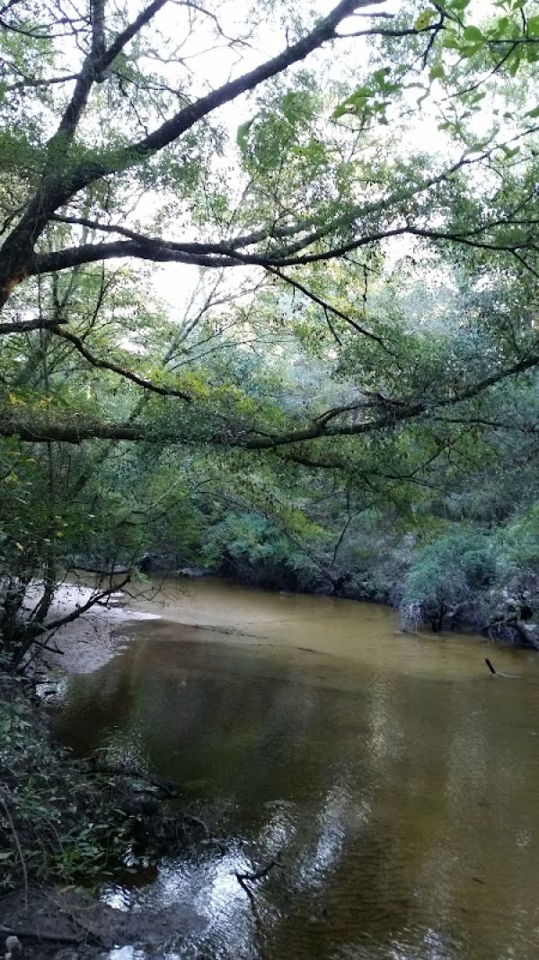 Camp Huck-a-Berry