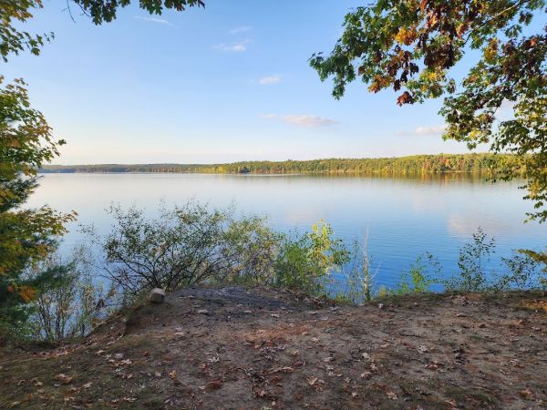 Newaygo State Park Poplar Campground