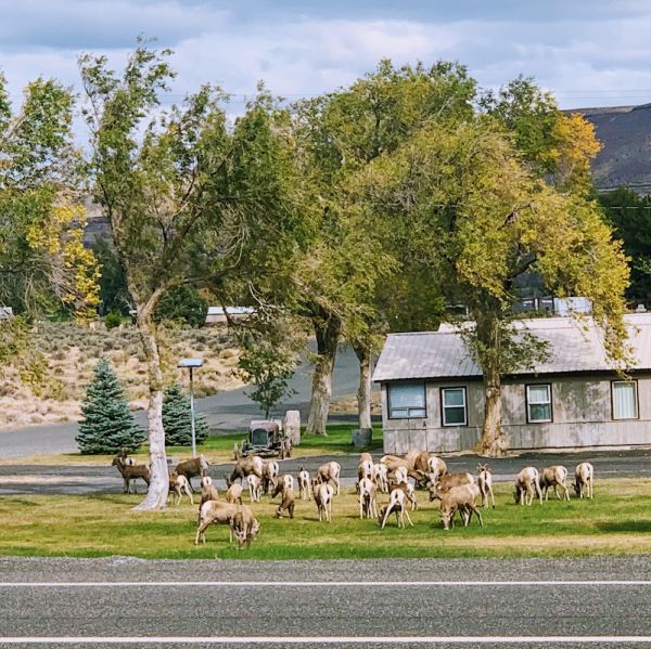Desert Aire RV Park