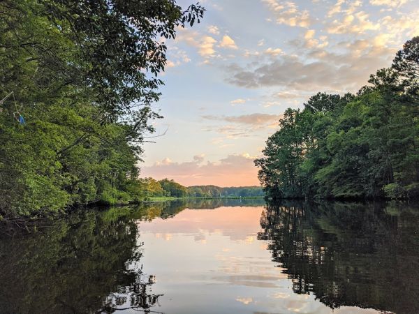 Pocomoke River State Park - Loop F - Water's Edge