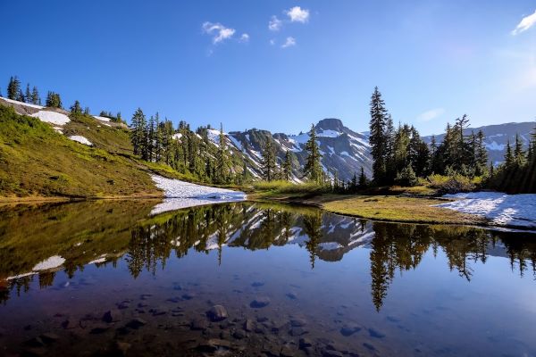 Upper Meadow