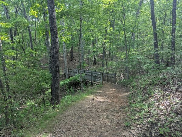 St. Joe State Park Campground 1 (ORV Area)