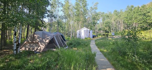 Aspen Grove (Uinta-Wasatch-Cache National Forest, UT)