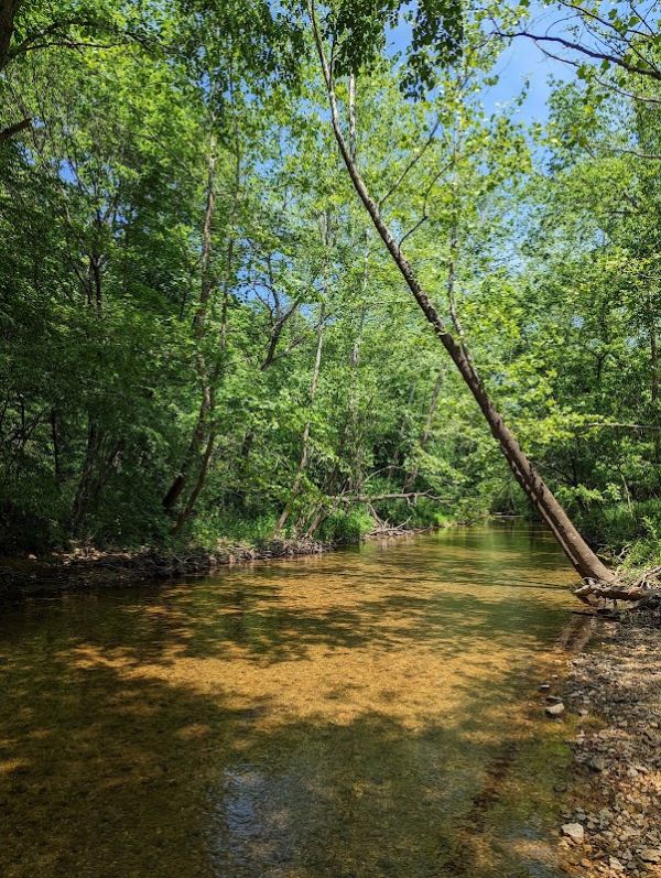 BLUE CREEK