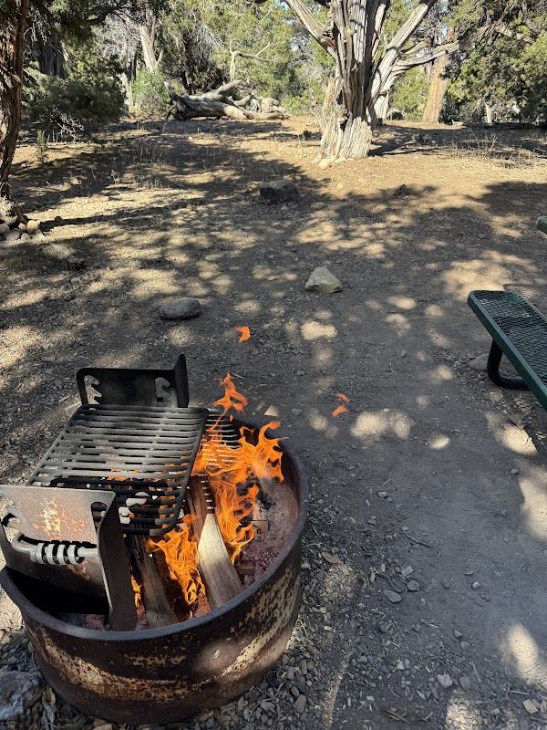 Black Canyon Of The Gunnison North Rim Campground